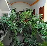 Di Lustro Hotel *